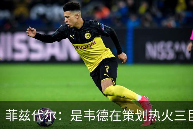 菲兹代尔：是韦德在策划热火三巨头 他告诉我能弄来波什和詹姆斯